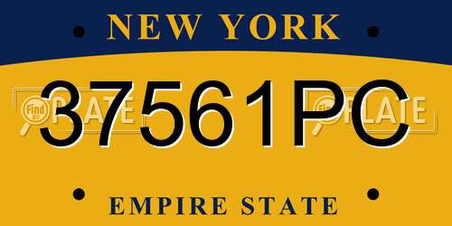 37561PC New York License Plate