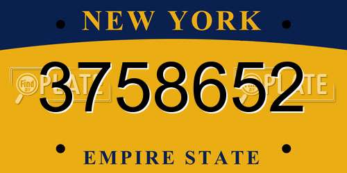 3758652 New York License Plate