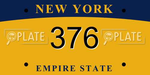376 New York License Plate