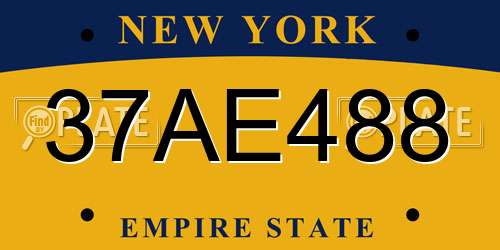 37AE488 New York License Plate