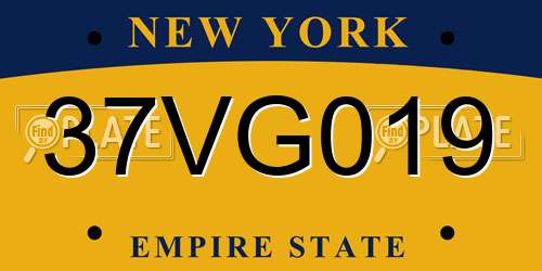 37VG019 New York License Plate