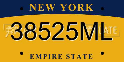 38525ML New York License Plate