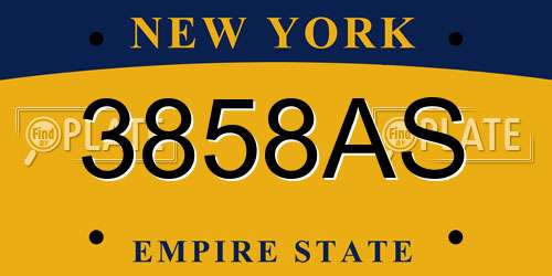 3858AS New York License Plate