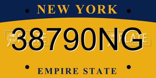 38790NG New York License Plate