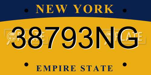 38793NG New York License Plate