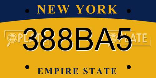 388BA5 New York License Plate