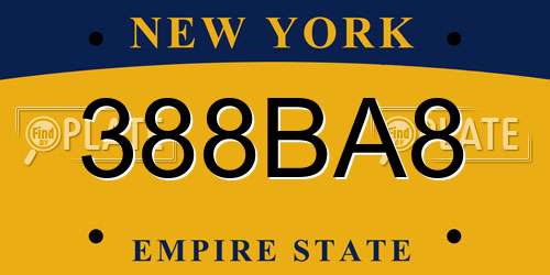 388BA8 New York License Plate