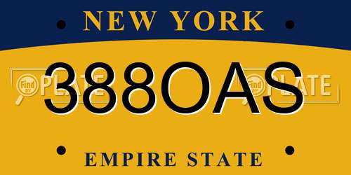 388OAS New York License Plate