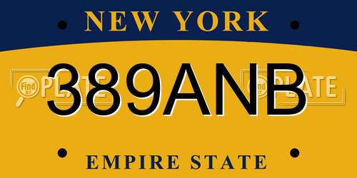 389ANB New York License Plate