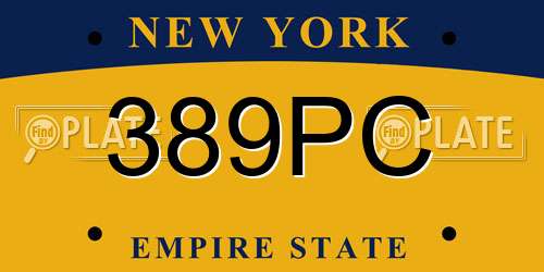 389PC New York License Plate
