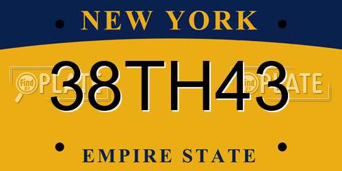 38TH43 New York License Plate