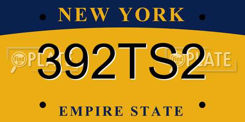 392TS2 New York License Plate