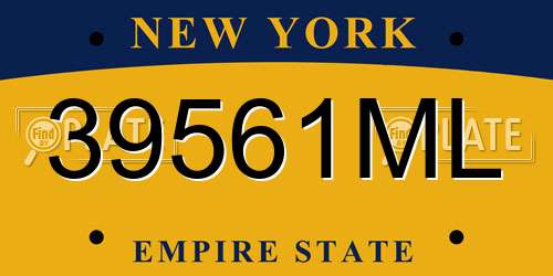 39561ML New York License Plate