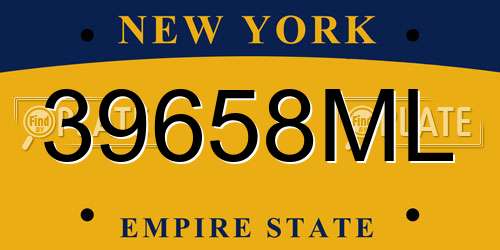 39658ML New York License Plate