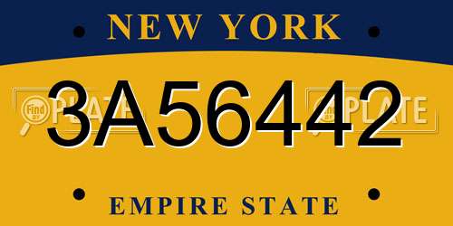 3A56442 New York License Plate