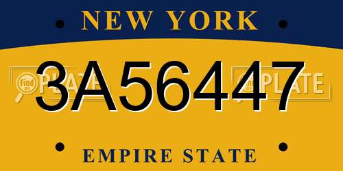 3A56447 New York License Plate