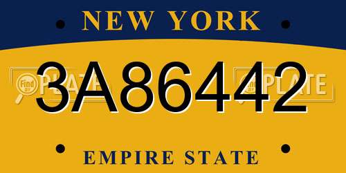 3A86442 New York License Plate