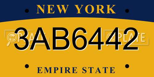 3AB6442 New York License Plate