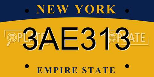 3AE313 New York License Plate