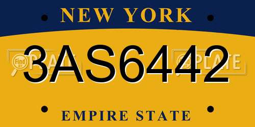 3AS6442 New York License Plate