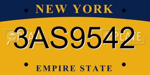 3AS9542 New York License Plate