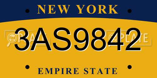 3AS9842 New York License Plate