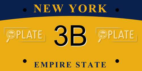 3B New York License Plate