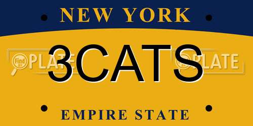 3CATS New York License Plate