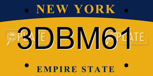 3DBM61 New York License Plate