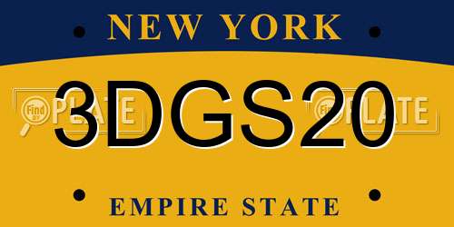3DGS20 New York License Plate