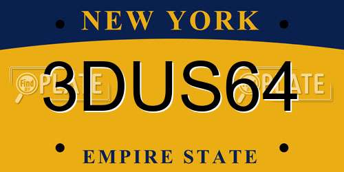 3DUS64 New York License Plate