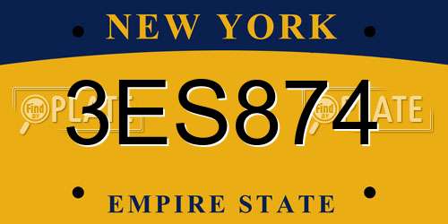 3ES874 New York License Plate