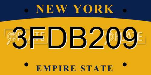 3FDB209 New York License Plate