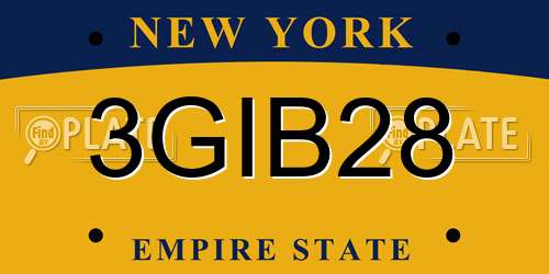 3GIB28 New York License Plate
