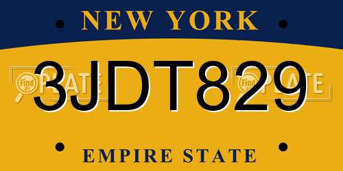 3JDT829 New York License Plate