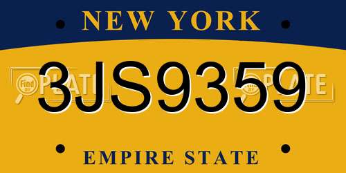 3JS9359 New York License Plate