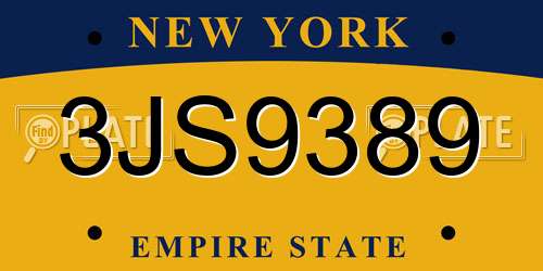3JS9389 New York License Plate