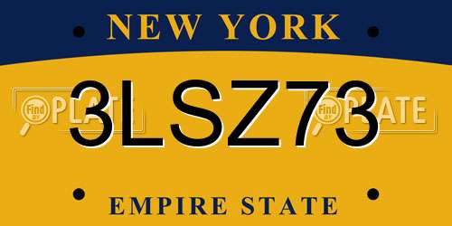 3LSZ73 New York License Plate