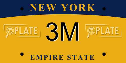 3M New York License Plate