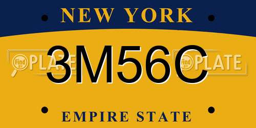 3M56C New York License Plate