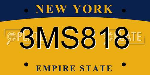 3MS818 New York License Plate