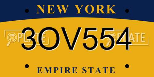 3OV554 New York License Plate