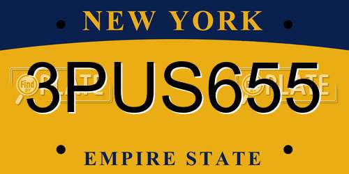 3PUS655 New York License Plate