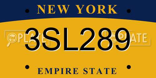 3SL289 New York License Plate