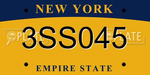 3SS045 New York License Plate