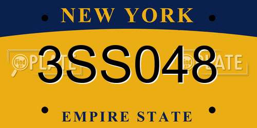 3SS048 New York License Plate