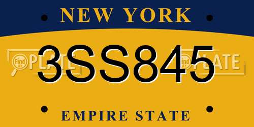 3SS845 New York License Plate