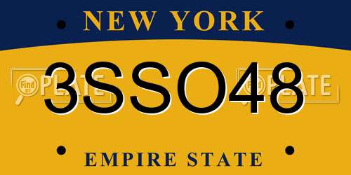3SSO48 New York License Plate