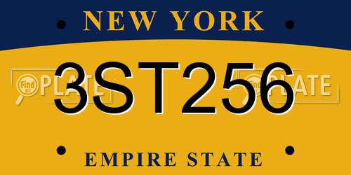 3ST256 New York License Plate