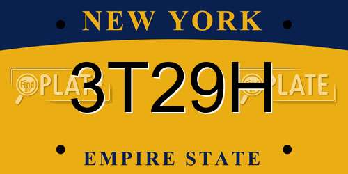 3T29H New York License Plate
